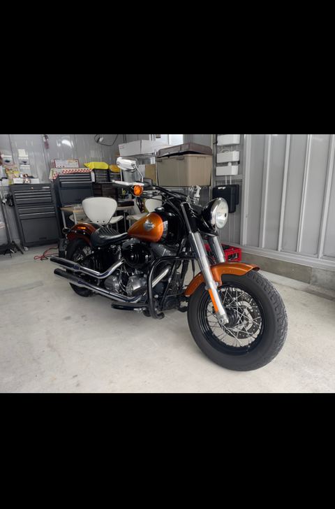 Harley-DavidsonFLSソフテイルスリム の写真1